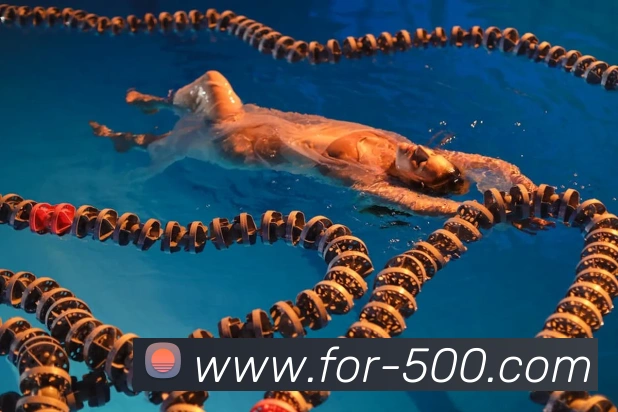 App Interface Preview